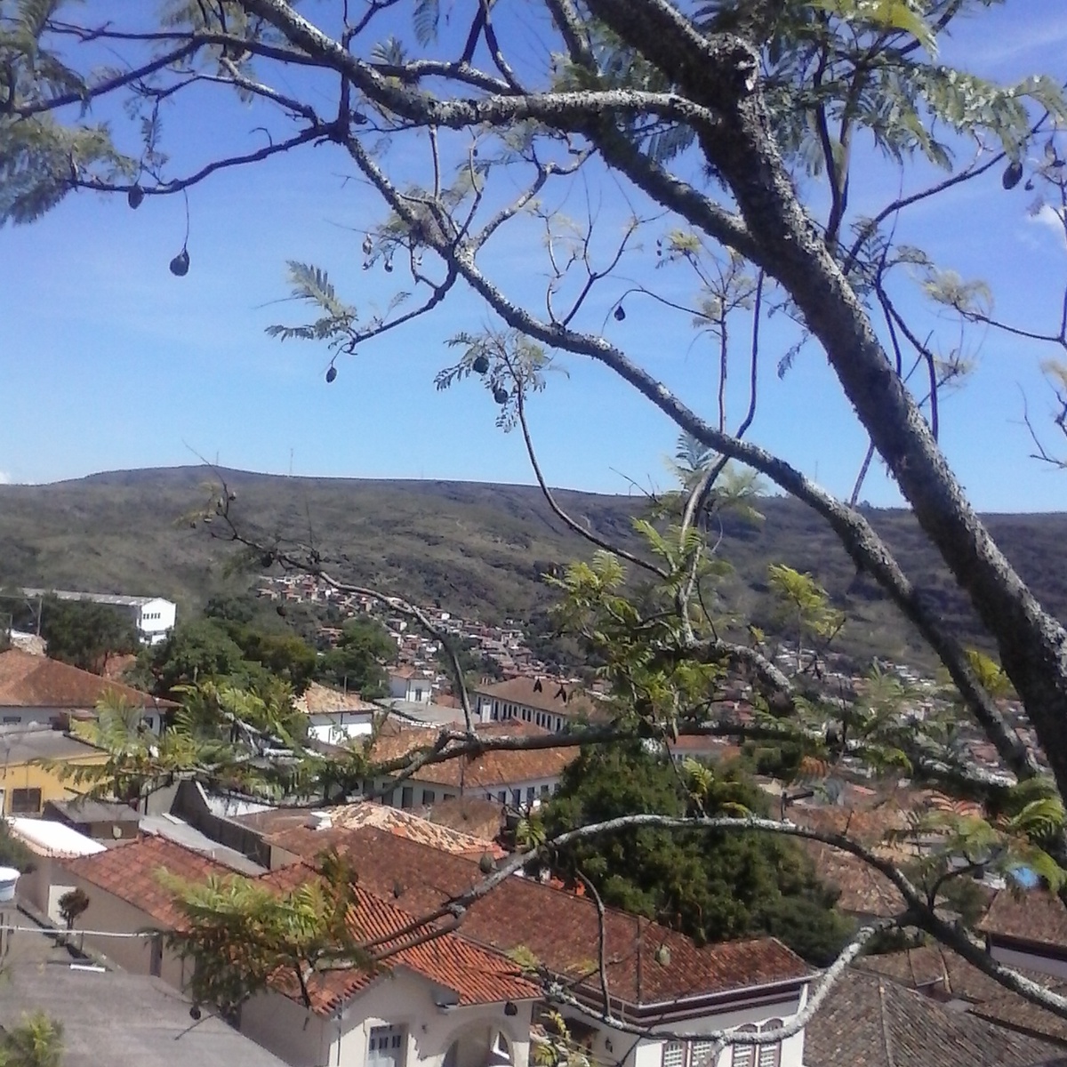 mauricio carlott Cover