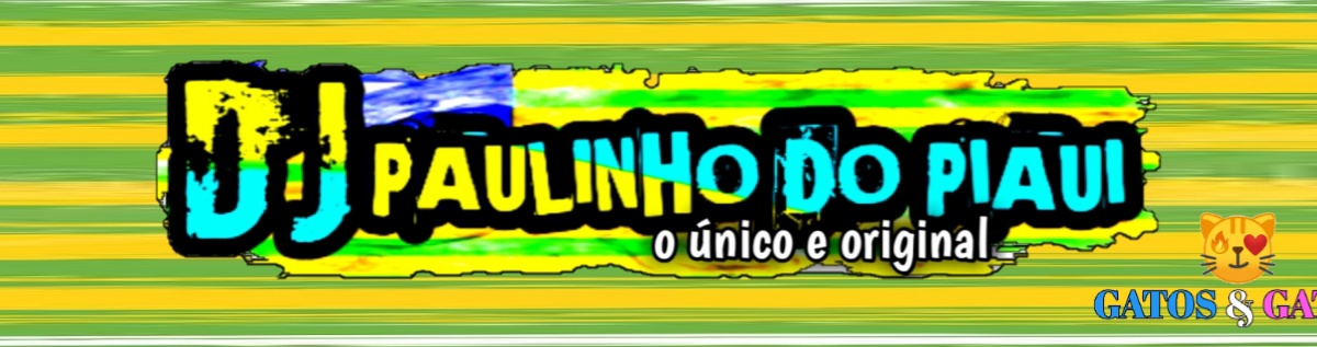 DJ PAULINHO DO PIAUI Cover