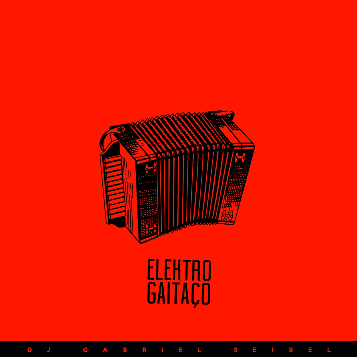 DJ Gabriel Seibel Cover