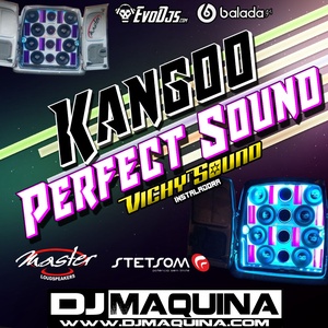 CD -Kangoo Perfect Sound