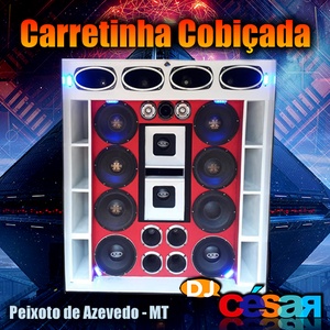 Carretinha Cobicada do Alan
