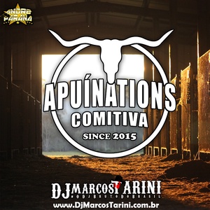 COMITIVA APUINATIONS APUI AM