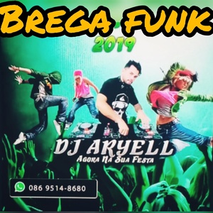BREGA FUNK BY DJ ARYELL