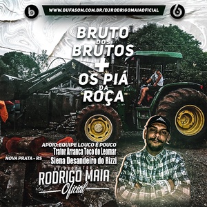 Bruto Dos Brutos Os Pia Da Roca Vol1