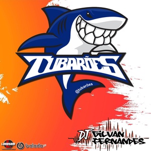 Os Tubaroes - DJ Gilvan Fernandes