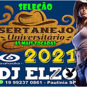 CD SERTANEJO UNIVERSITARIO VERAO 2021