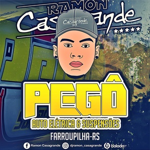 PEGO AUTO ELETRICA E SUSPENSOES VOL 5