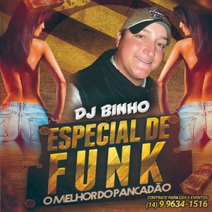 Dj Binho Especial Funk Vol1