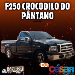 F250 Crocodilo do Pantano - Ariquemes RO