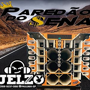 CD PAREDAO DO SENA SO AS TOP BY DJ ELZO