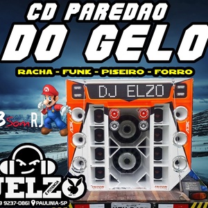 CD PAREDAO DO GELO 2021 BY DJ ELZO