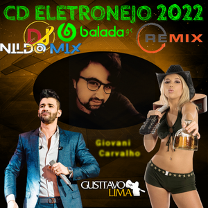 CD ELETRONEJO 2022 REMIX