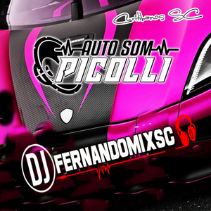 Auto Som Picolli Vol 2 Dj Fernando Mix