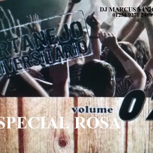 CD Especial Rosa Vol 07 As Top do Sertanejo 2014