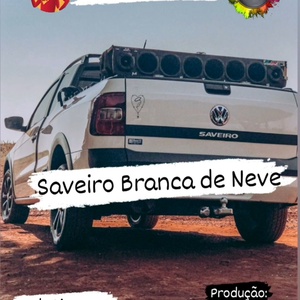 Saveiro braca de neve Palotina- Pr
