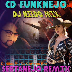 CD FUNKNEJO DJ NILDO MIX SERTANEJO REMIX