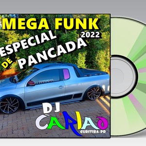 Cd Mega Funk Especial De Pancada 2022