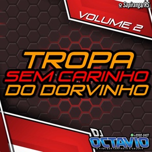 TROPA SEM CARINHO DO DORVINHO VOLUME 2