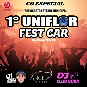 CD 1 UNIFLOR FEST CAR AUTOMOTIVO