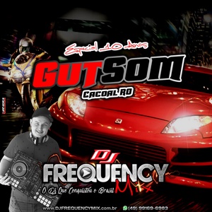 CD GutSom - DJ Frequency Mix