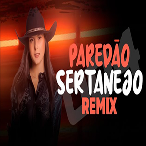 ELETRONEJO SERTANEJO REMIX