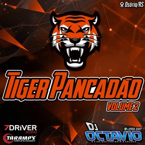 TIGER PANCADAO VOLUME 2