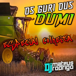 CD OS GURI DUS DUMI