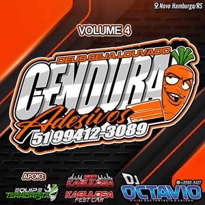 CENOURA ADESIVOS VOLUME 4