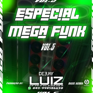ESPECIAL MEGA FUNK VOL 5