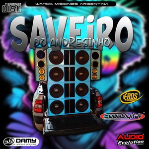 CD SAVEIRO DO ANDRSINHO