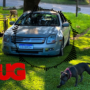 CD Fusion do Gordinh0