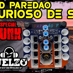 CD PAREDAO FURIOSO ESP FUNK 2024 DJ ELZO
