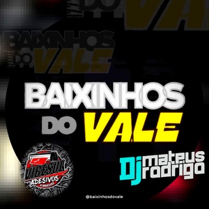 BAIXINHOS DO VALE