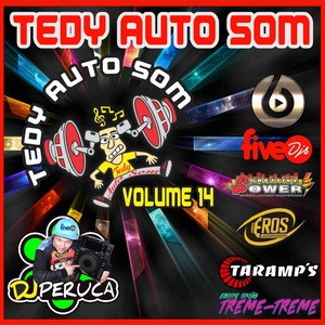 TEDY AUTO SOM VOLUME 14