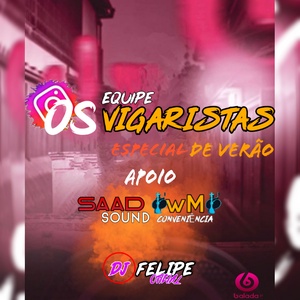 Equipe os vigarista esp de verao