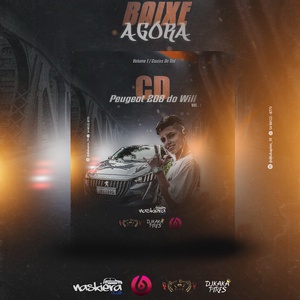 CD PEUGEOT  208 DO WILL VOL 1 - 2024