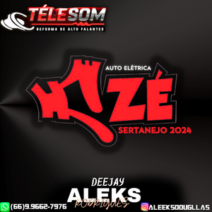 AUTO ELETRICA ZE ESP-SERTANEJO 2024