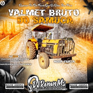 CD VALMET BRUTO DO SAMUCA ESPECIAL...