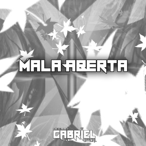 CD Especial Mala Aberta DJ Gabriel OFC