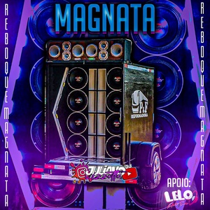 REBOQUE MAGNATA - PASSO FUNDO RS