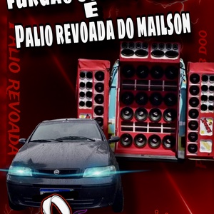 PALIO REVOADA FURGAO SCOOB-DOO