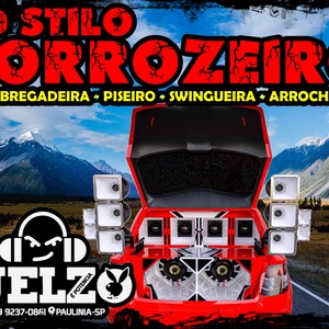 CD STILO FORROZEIRO 2024 BY DJ ELZO