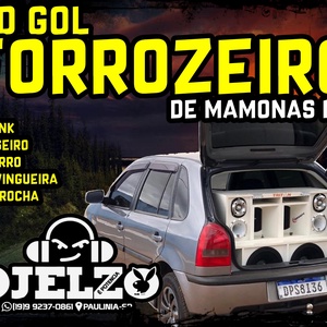 CD GOL FORROZEIRO DE MAMONAS  BY DJ ELZO