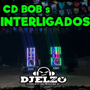 CD BOB S INTERLIGADOS 2025 BY DJ ELZO