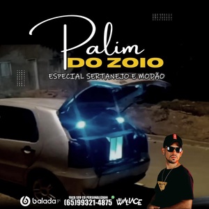 RELEMBRANDO PALIN DO ZOIO