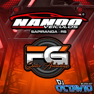 NANDO VEICULOS E FG CENTRO AUTOMOTIVO
