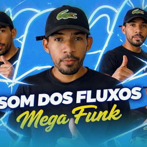 CD MEGA FUNK  SOM DOS FLUXO