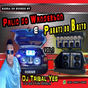 PALIO ATREVIDO DO WANDERSON VOL 01
