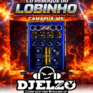 CD PAREDAO DO LOBINHO BY DJ ELZO