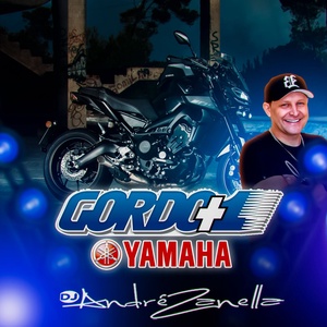 GORDO MAIS 1 YAMARA MOTOS E NAUTICA 2